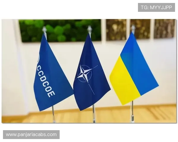 凯发足球官网网址安全登录指南，保障您的账号信息安全与游戏体验